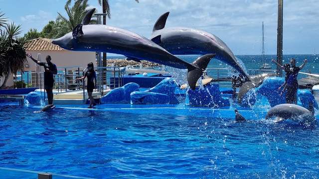 Most fun things to do in Balearic Islands