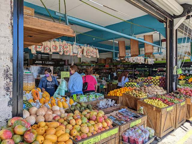 things to do in Tijuana Mexico