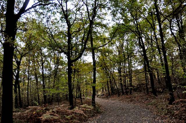 Monte Musine Turin