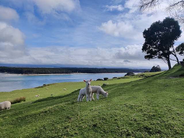 Mount Maunganui Tauranga