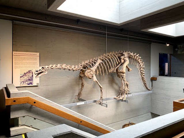Natural History Museum in Nuremberg