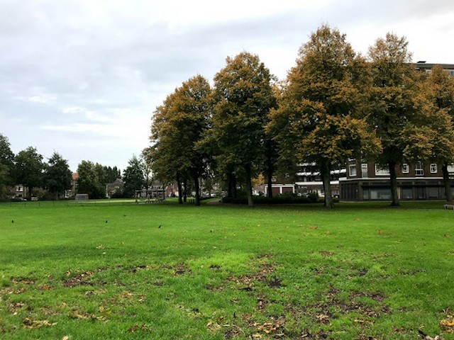 things to do in Utrecht