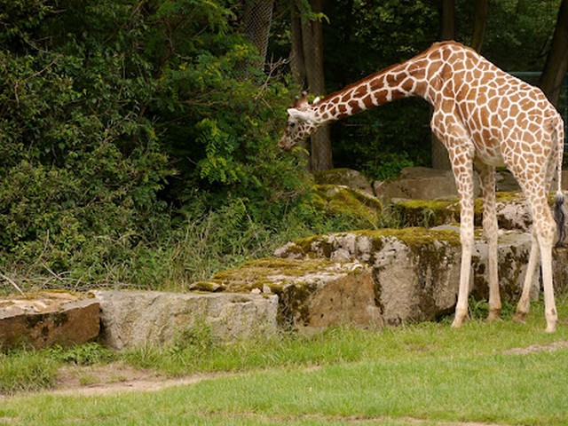 Nurnberg Zoo