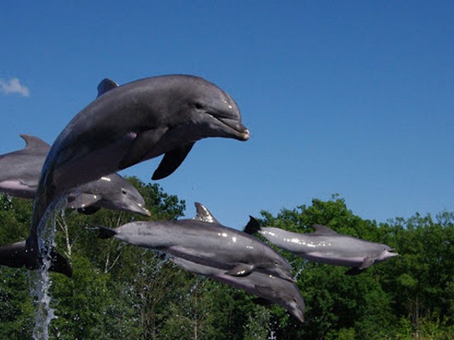 Zoo in Nurnberg