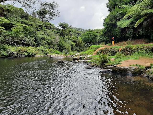 Owharoa Falls Tauranga
