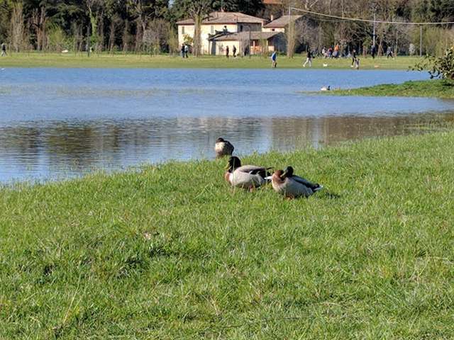 parks in Ravenna