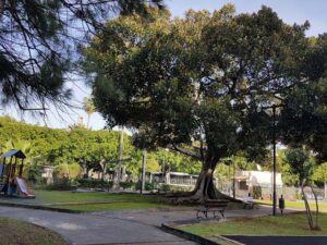 حديقة جيوتشي بيازا أدا سيراكيوز - Parco Giochi Piazza Adda Syracuse