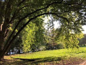 حديقة إجنازيو ميشيلوتي تورينو - Parco Ignazio Michelotti Turin