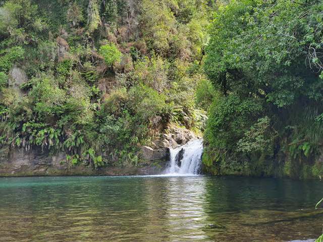tauranga Tauranga