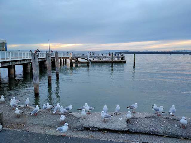 Salisbury Wharf Beach Tauranga
