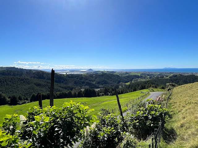 Summerhill Mountain Tauranga