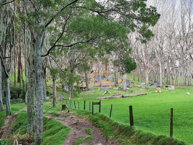 Summerhill Mountain Tauranga