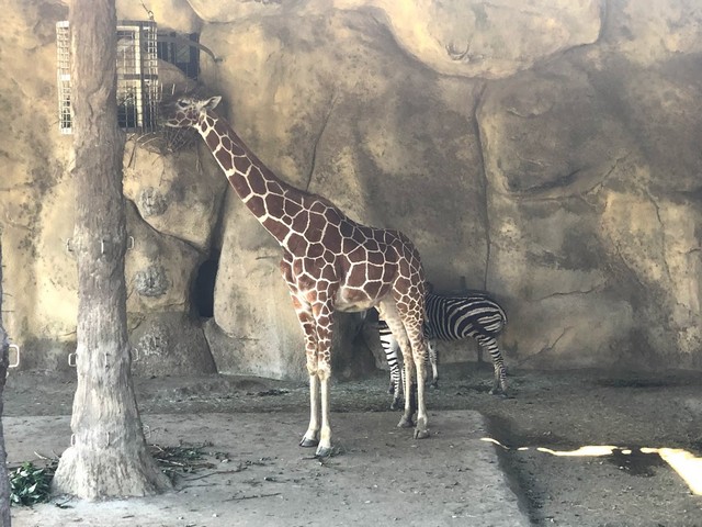 Taipei Zoo