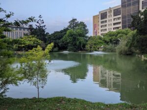 بحيرة تايوان تايتشونغ - Taiwan Lake Taichung