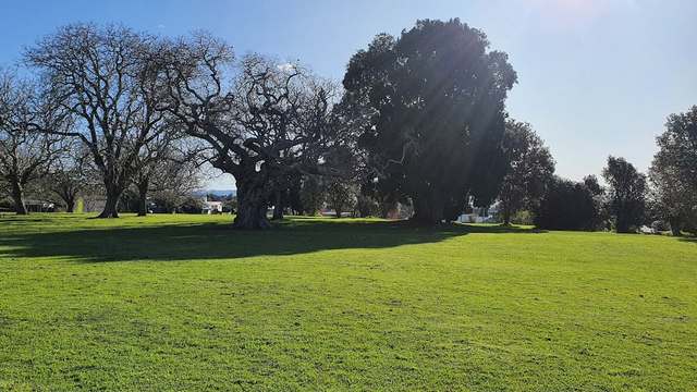 best parks in Tauranga
