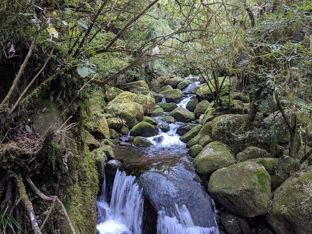 waterfalls in Tauranga