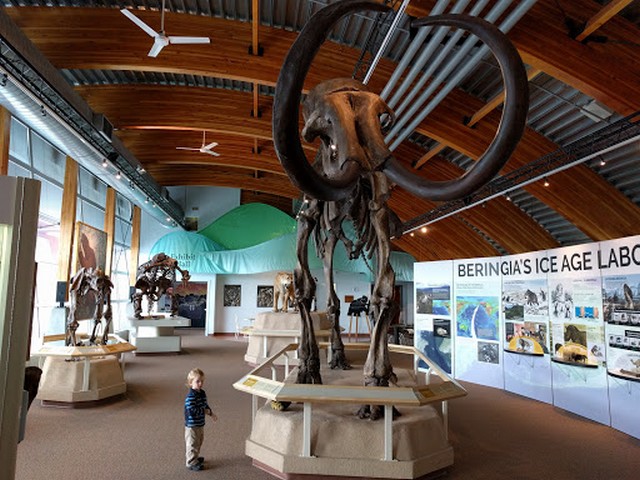 things to do in Whitehorse Yukon