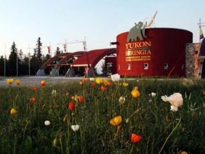 متحف يوكون بيرنجيا وايت هورس - Yukon Beringia Interpretive Museum Whitehorse