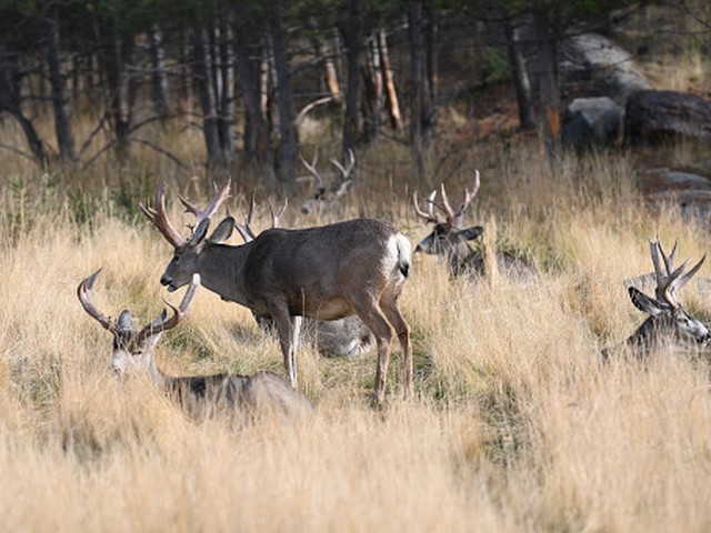things to do in Whitehorse Canada
