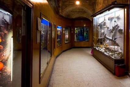 Alexandria Aquarium