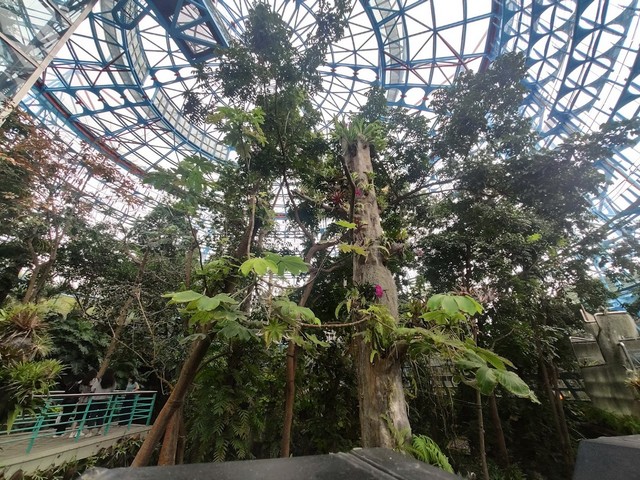 Botanical Garden of National Museum of Nature Science in Taichung