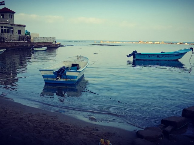Miyami Beach Alexandria