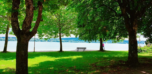 Seepromenade Lake Munich