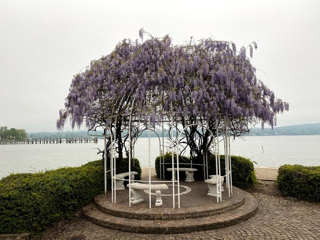 Seepromenade Lake Munich