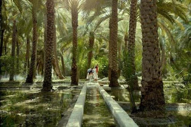things to do in Al Ain