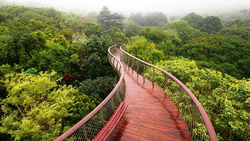 popular things to do in Cape Town