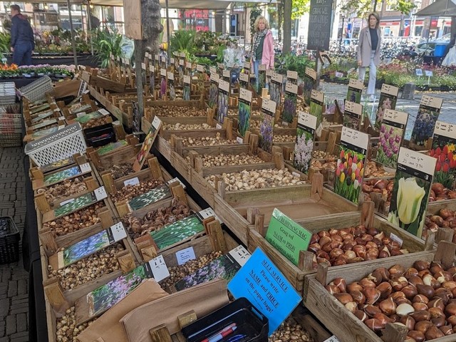 Janskerkhof Bloemenmarkt in Utrecht