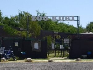 حديقة حيوان كوكي توليدو - Koki Zoo Toledo - free things to do in Toledo
