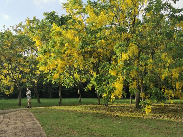 Taichung Metropolitan Park in Taichung