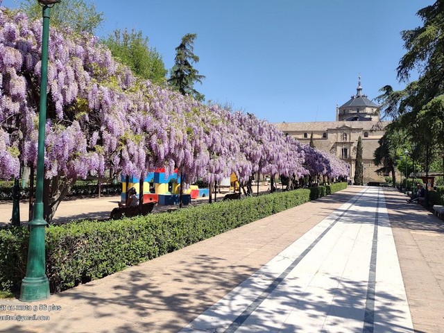 best parks in Toledo