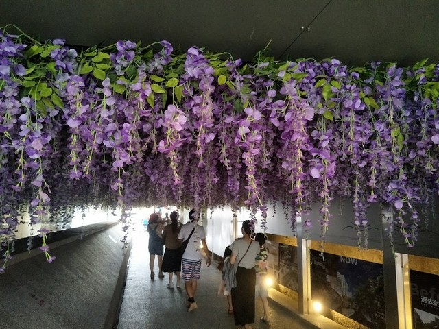 nice parks in Taichung