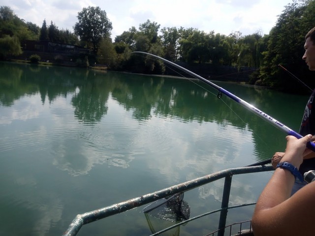 Swan Lake in Turin