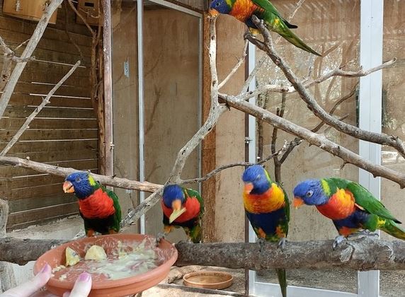 Natura Park Zoo Balearic Islands