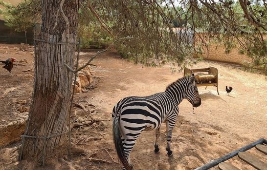 Natura Park Zoo Balearic Islands