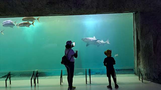 Acuario Zoologico Guadalajara