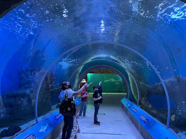 cool things to do in Guadalajara