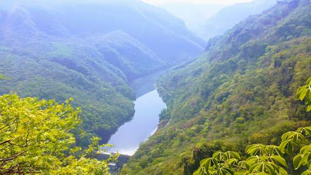 Barranca de Oblatos Forest Guadalajara