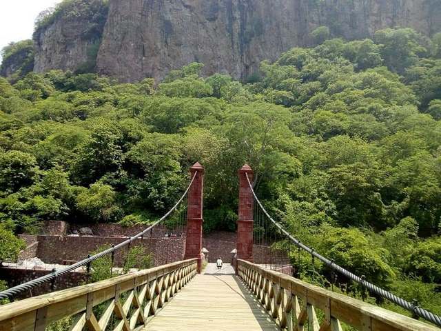 Barranca de Oblatos Forest Guadalajara