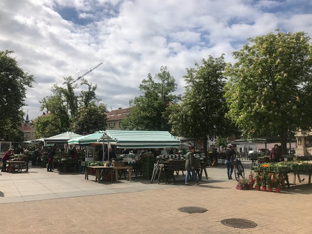 things to do in Graz Austria