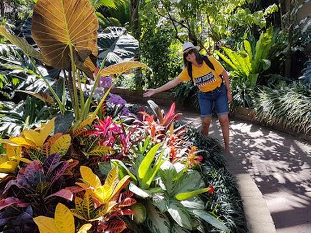 Botanical Garden San Diego