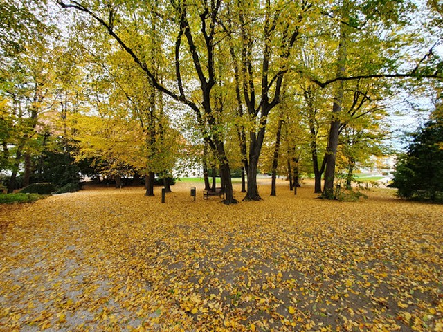 top things to do in Graz Austria
