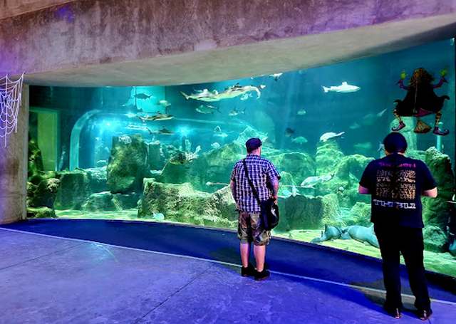 Guadalajara Aquarium