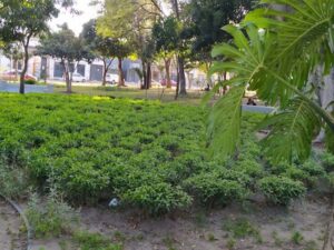حديقة فيلا دي سيغاليس غوادالاخارا - parks in Guadalajara