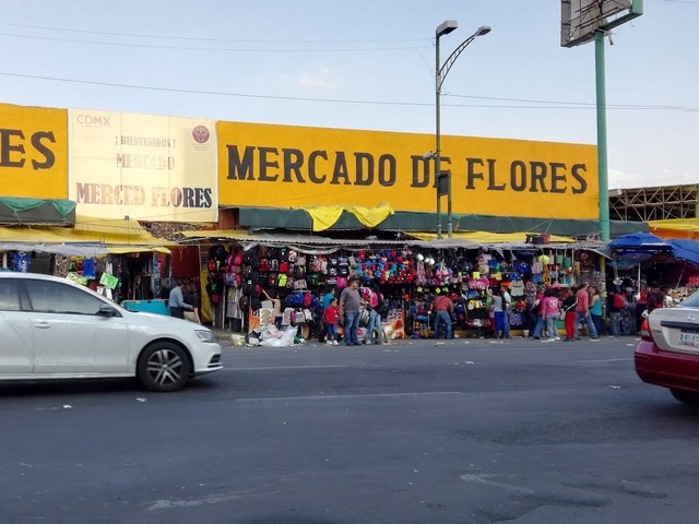 popular things to do in Mexico City