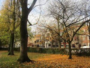 best attractions in Ghent for families
