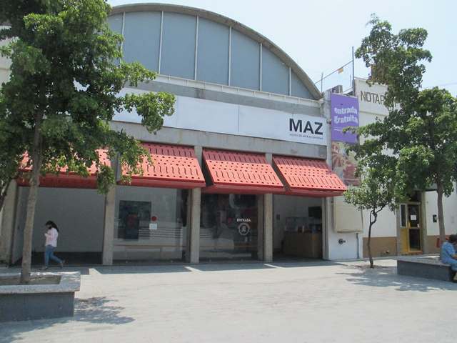 museums in Guadalajara